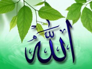 Read more about the article SHIN ALLAH NA ‘BOYE AIKINSA?
